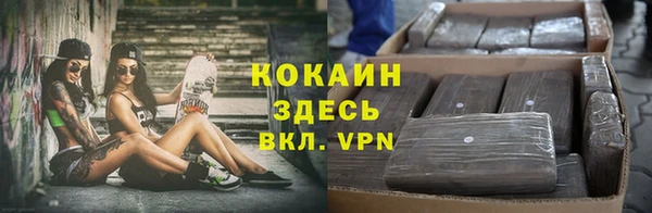 мяу мяу мука Арсеньев