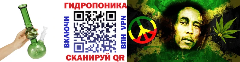 цена наркотик Кондопога MEGA tor Шишки марихуана THC 21%